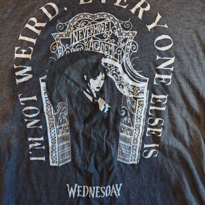 Gray Graphic Men’s Shirt